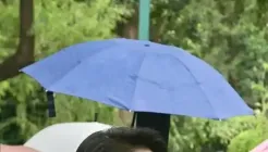 细雨中孙楚泊重回紫竹院公园，携北京民族乐团带来“竹海回响”音乐会 ... ...